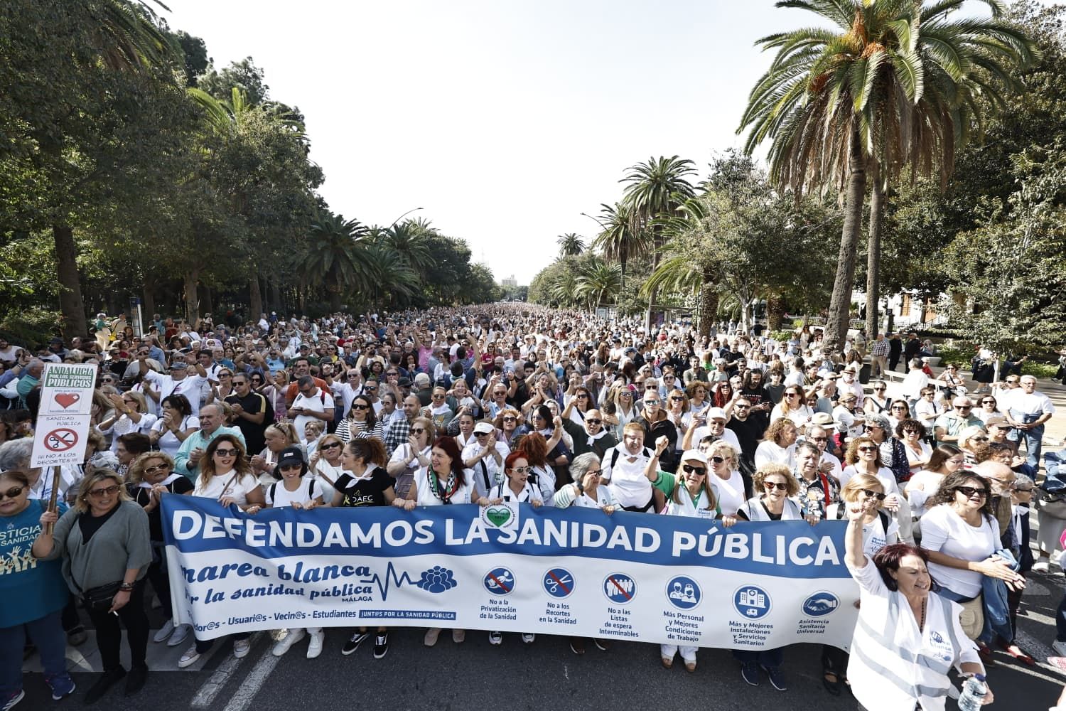 Thousands of people march through Malaga city centre in defence of public healthcare, in pictures