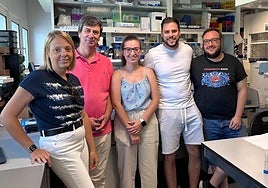Malaga researchers help identify molecules responsible for heart cell regeneration