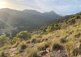 Amended plans for housing development near famous Costa del Sol tourist cave given green light