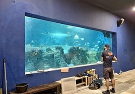 Work is being carried out to Almuñécar's aquarium