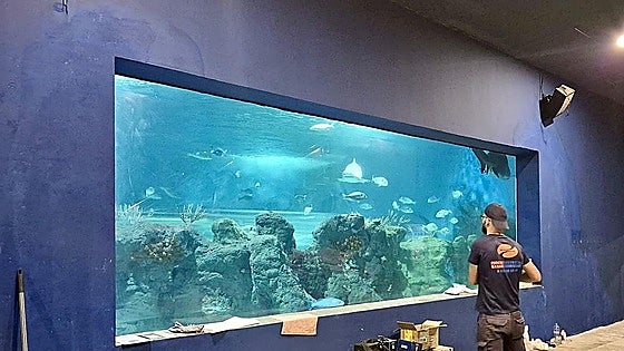 Costa Tropical sea life aquarium set to reopen before end of year