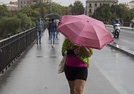Storm Claudia: Aemet issues yellow and amber warnings for heavy rain and strong winds in southern Spain