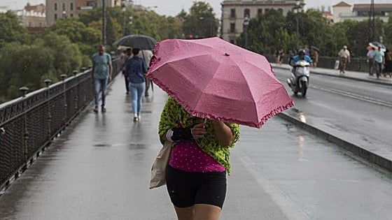 Storm Claudia: Aemet issues yellow and amber warnings for heavy rain and strong winds in southern Spain