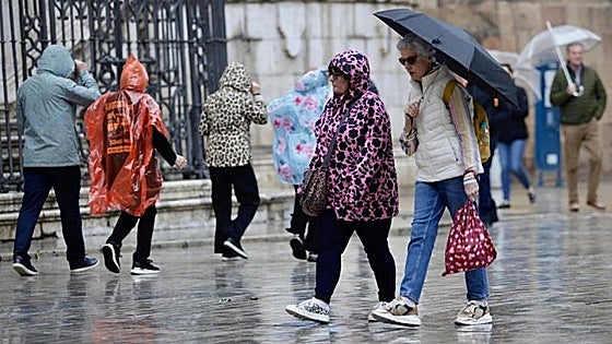 Rain is on the way to Malaga and the Costa del Sol: this is the state weather agency's latest forecast