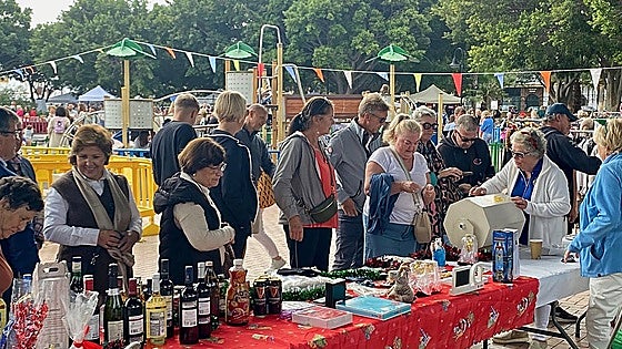 La Cala de Mijas Lions out and about in November