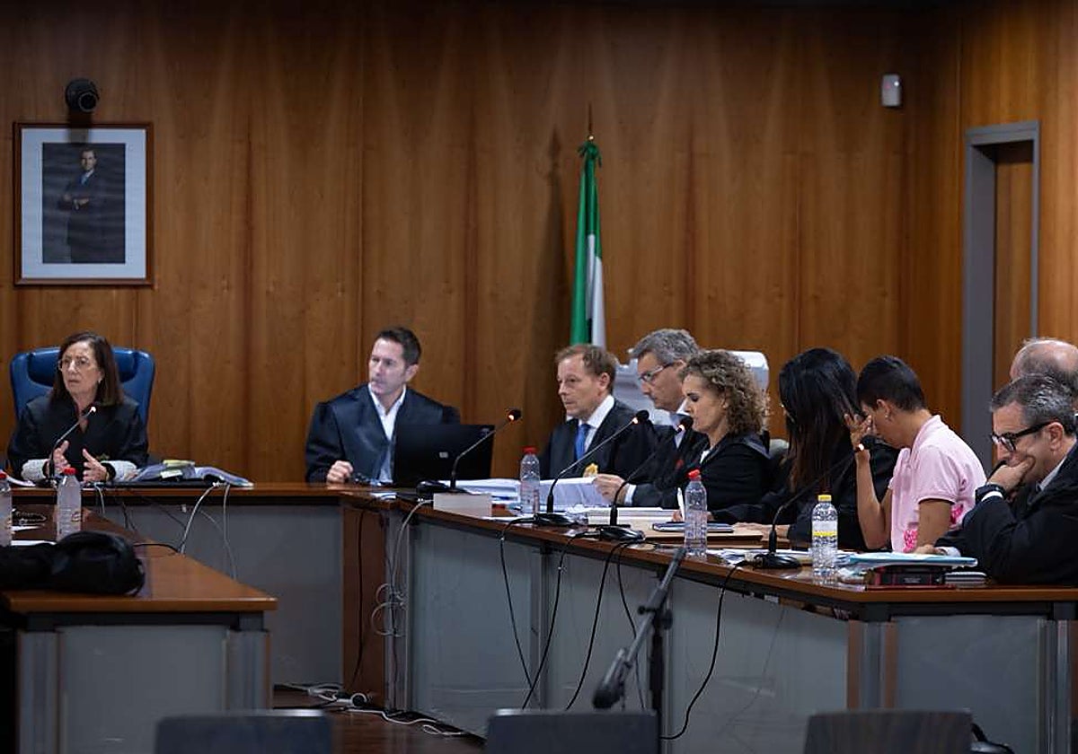 Almost 30 years in prison for murdering his mother and hiding her body down a drain in Malaga