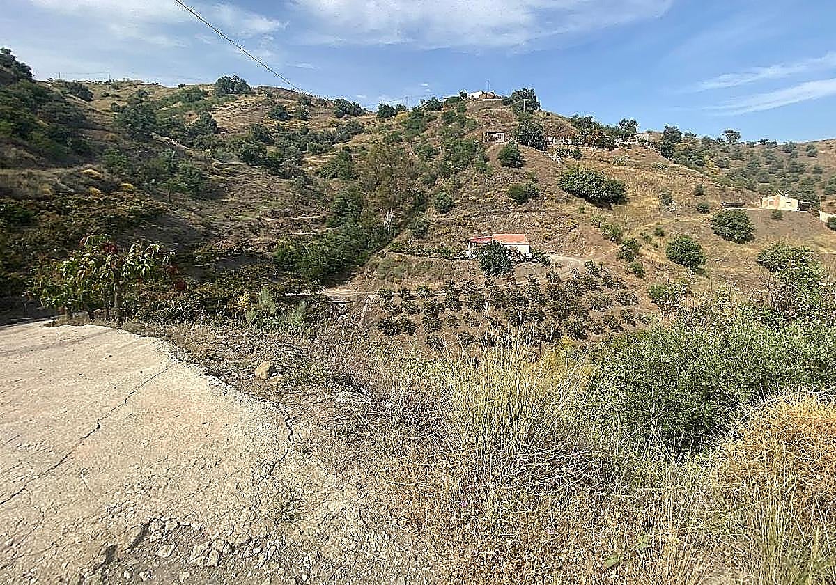 The rural surroundings of Lomas de Cútar in the municipality of Almáchar, where the incident happened.