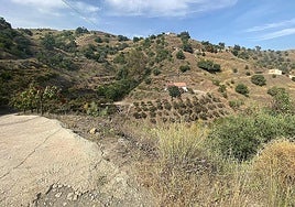 The rural surroundings of Lomas de Cútar in the municipality of Almáchar, where the incident happened.