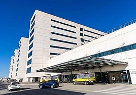 Hospital de La Fe, in a file image.