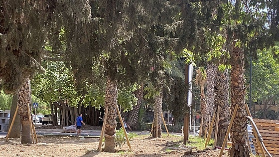 Benalmádena plans to plant over 700 new trees