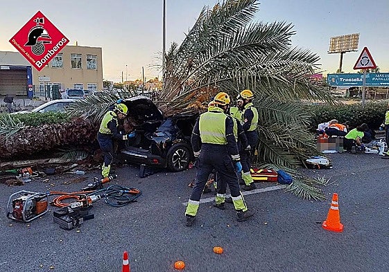 Young man dies after palm tree crushes his car while he was driving on Spain's Costa Blanca