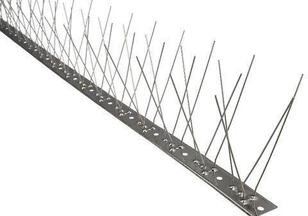 Anti-pigeon spikes: what you need to know if you plan to install them on your apartment in Spain