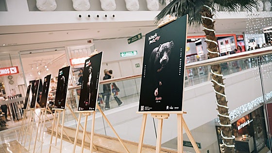 Costa del Sol shopping centre to raise awareness of black dog syndrome