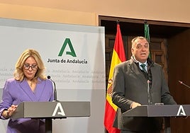 Junta spokesperson, Carolina España, and regional minister for tourism and external affairs, Arturo Bernal, at Wednesday's presentation.