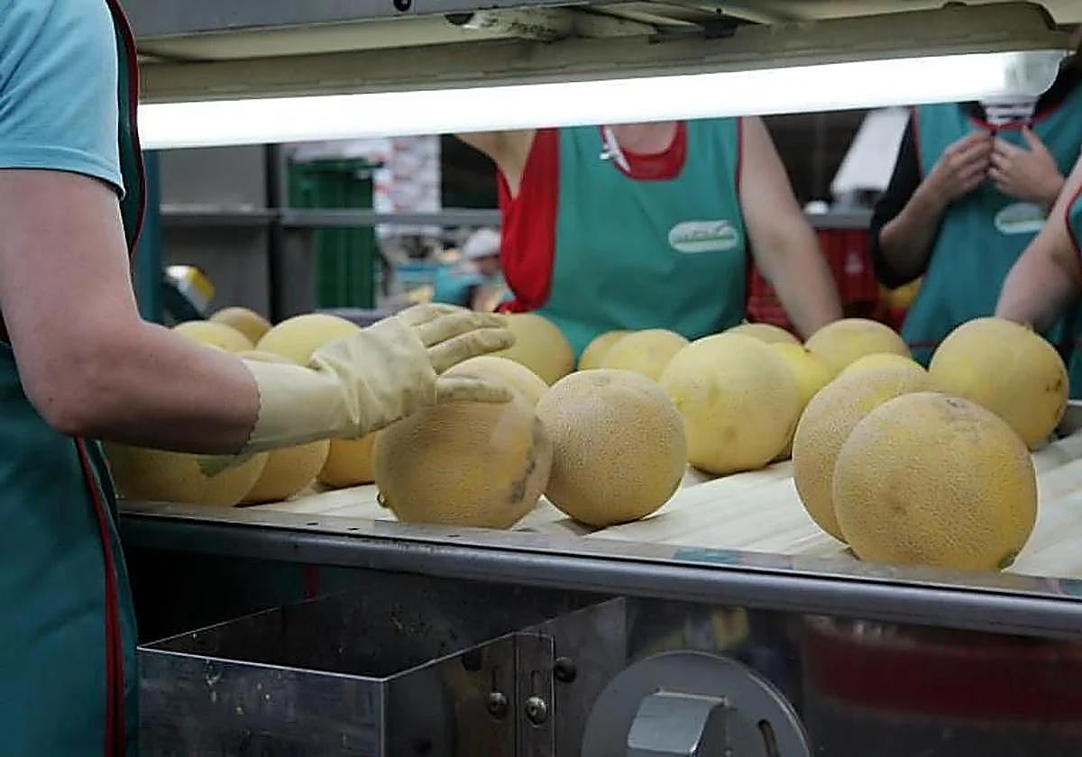 Social media has echoed misinformation.