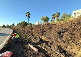 Pavement work along the section connecting the Mar y Monte and Avenida Alquería roundabouts on the Benahavís road.