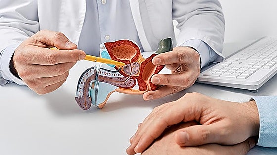 Prostate cancer: the silent disease that affects one in eight Malaga province residents