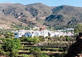 The village of Almócita is located at an altitude of 834 metres above sea level.