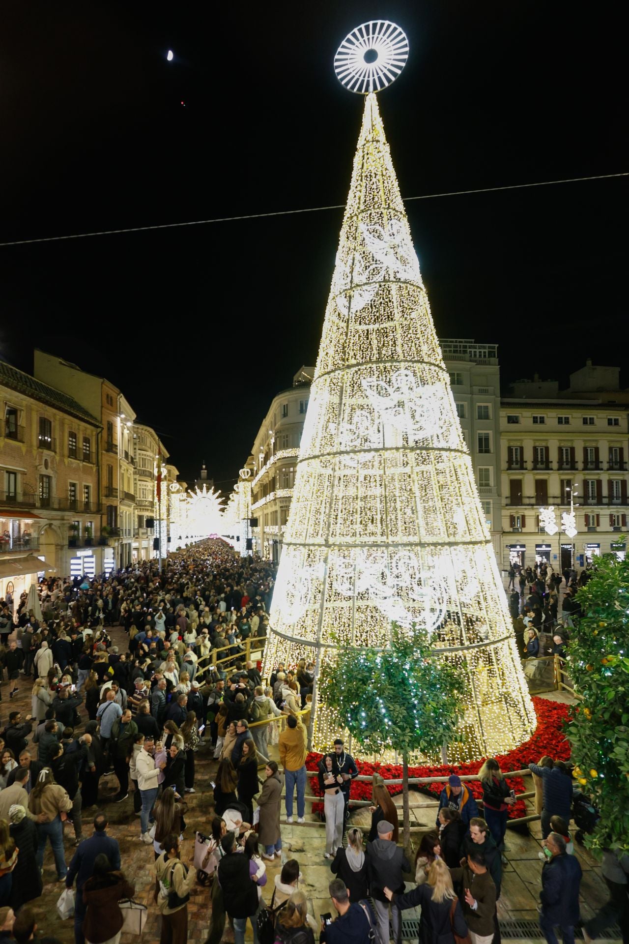 In pictures: Malaga lights up for Christmas