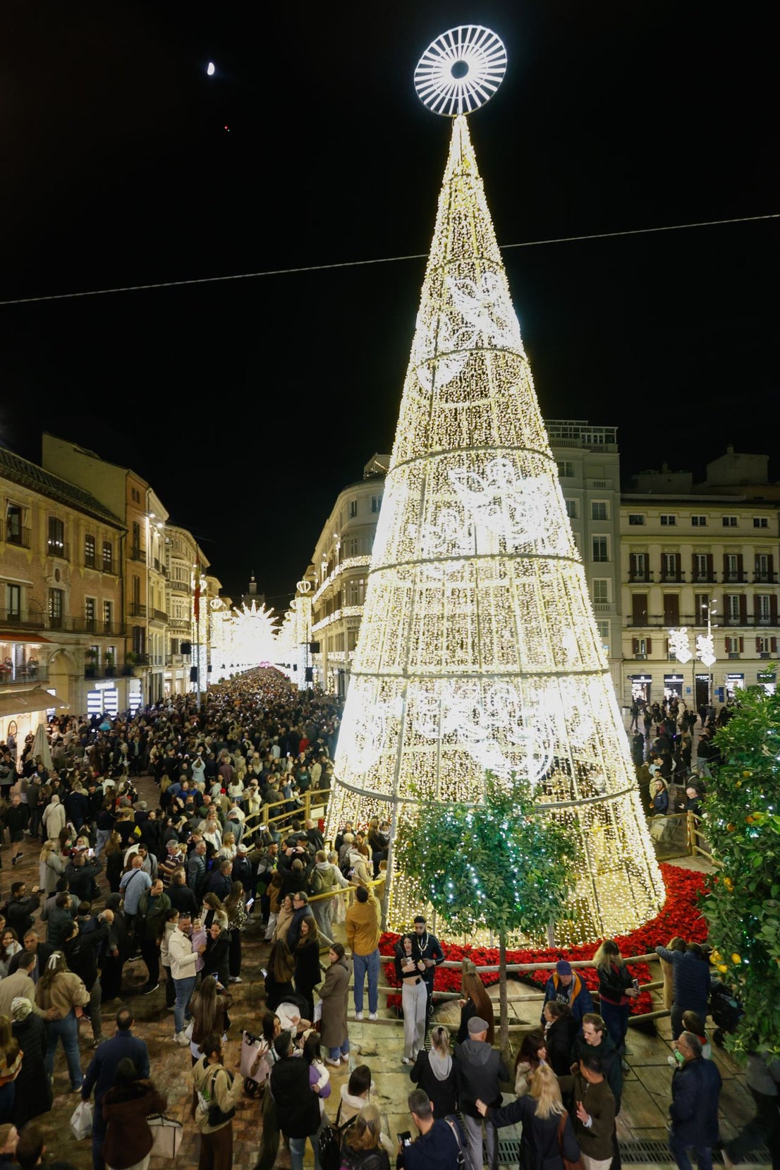 In pictures: Malaga lights up for Christmas