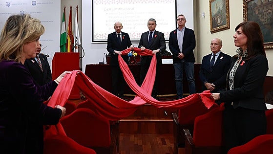 Malaga was the Andalusian province with the highest number of HIV diagnoses in 2024