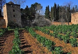 Casa de la Huerta Colorá in the Generalife .