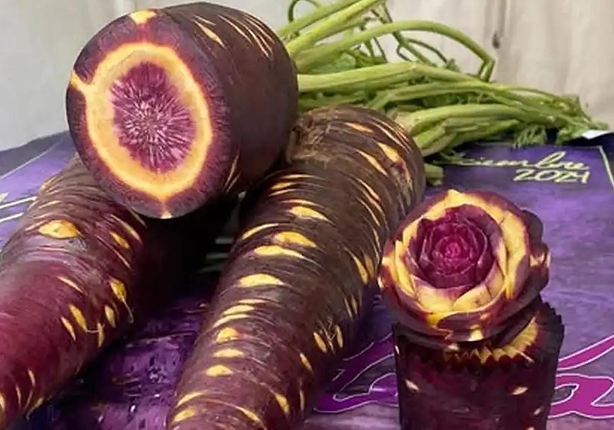 Cuevas Bajas pays tribute to its emblematic purple carrot