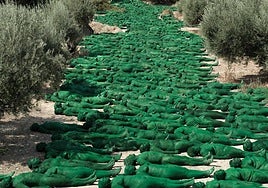 Granada, Spain (Retrato Alhambra 1925) 2025