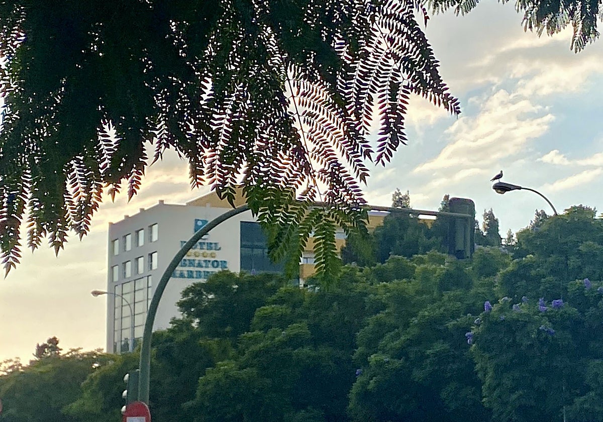 View of the building that the Meliá chain will take over to open its sixteenth hotel in the Costa del Sol province.
