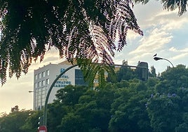 View of the building that the Meliá chain will take over to open its sixteenth hotel in the Costa del Sol province.