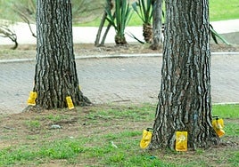 Archive photo of a phytosanitary treatment in Marbella.