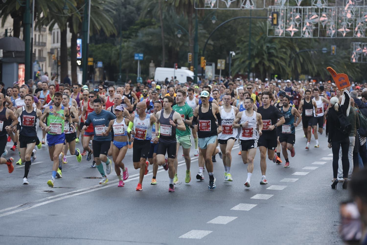 Malaga marathon in pictures (1)