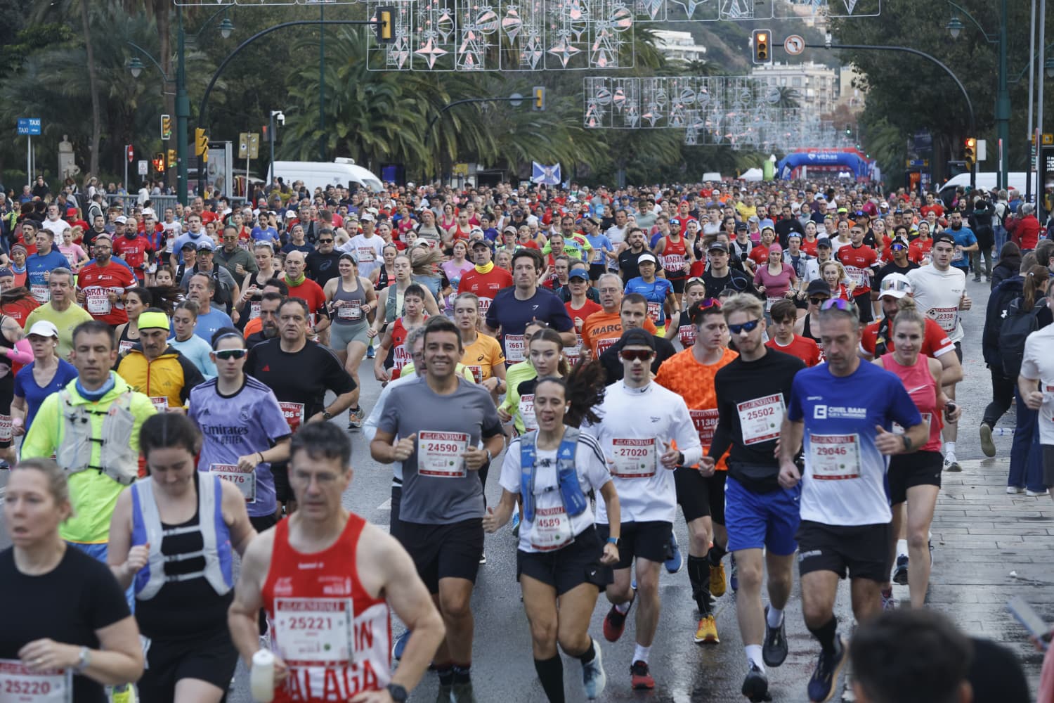 Malaga marathon in pictures (1)