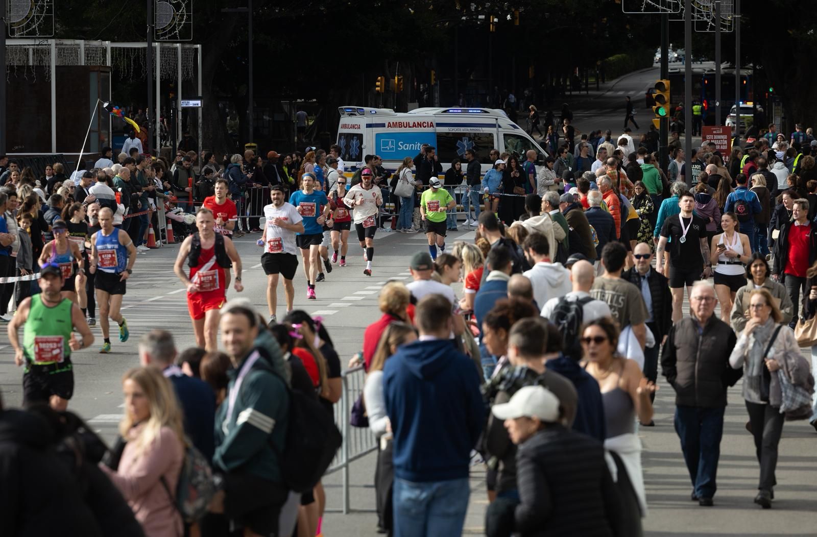 Malaga marathon in pictures (2)
