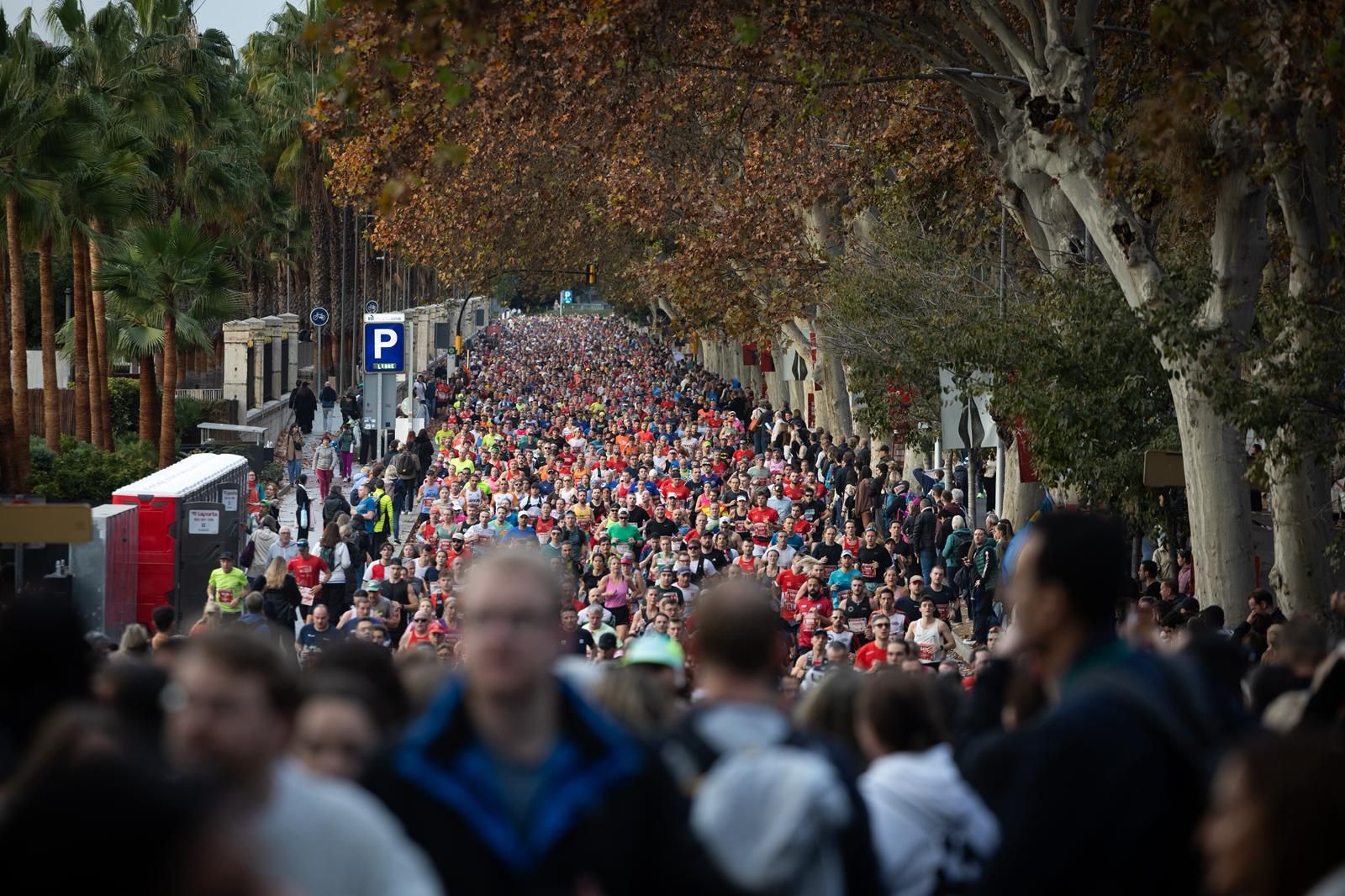 Malaga marathon in pictures (1)