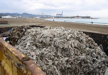 Huelin beach on Monday morning.