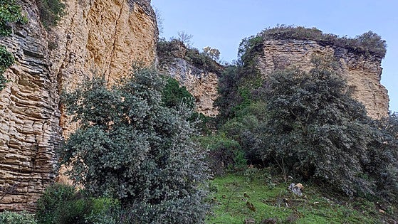 Ronda's hidden gorge: not as famous as the town centre one, but it's just as spectacular