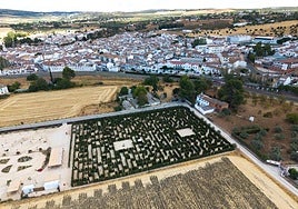 Aerial image of the hedge maze in Arriate.