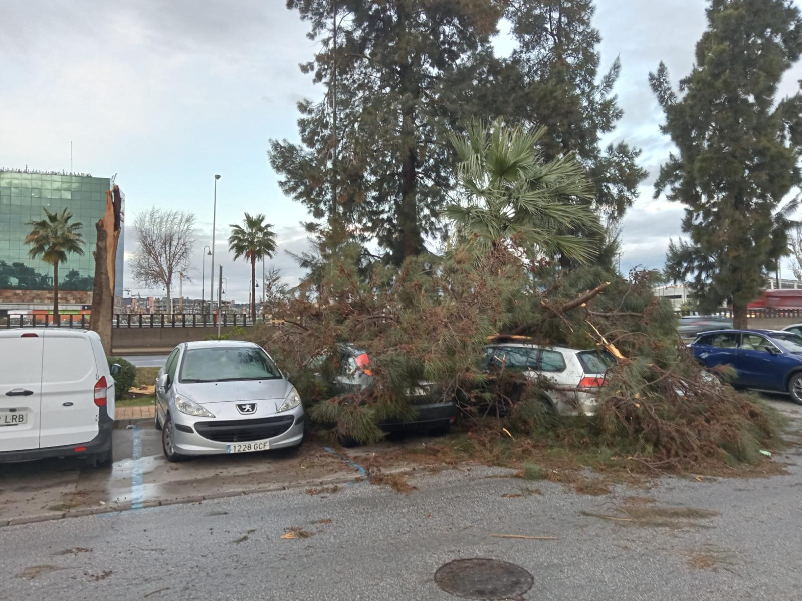 Multiple incidents have been reported in the most heavily affected areas