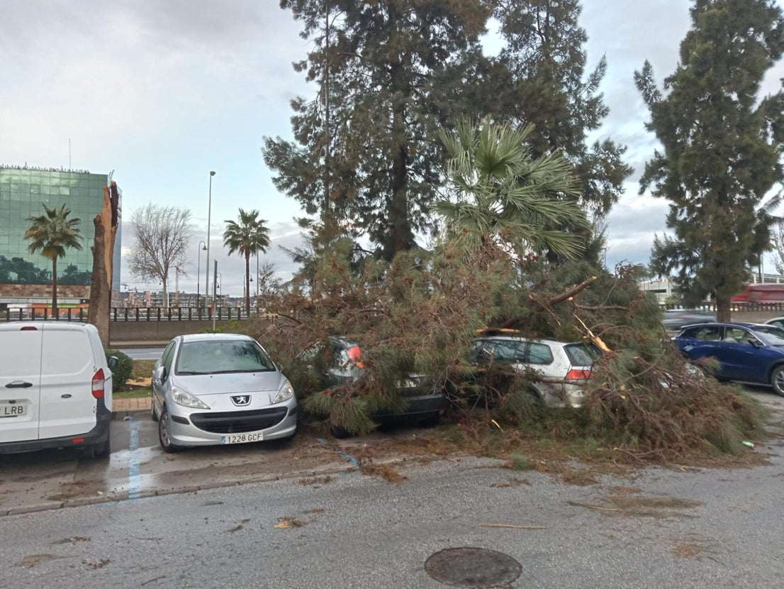 Multiple incidents have been reported in the most heavily affected areas