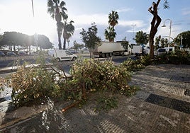 Storm Emilia damage in pictures on the Costa del Sol