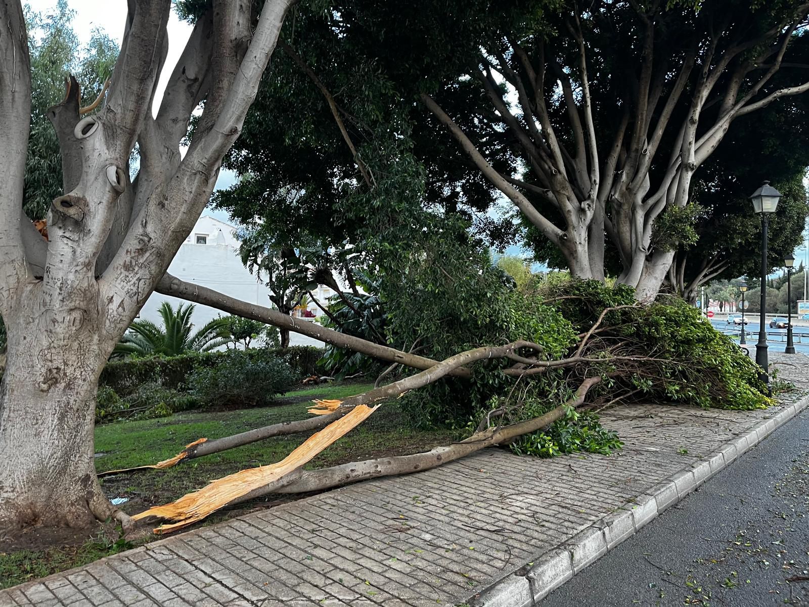 Storm Emilia damage in pictures on the Costa del Sol