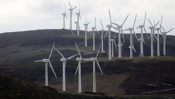 Wind power slashed 4.6 billion euros off electricity bills in Spain last year claim