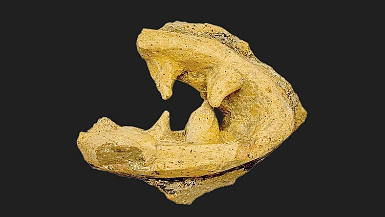 Masks of the ancient Phoenician inhabitants of Malaga's El Cerro del Villar site revealed