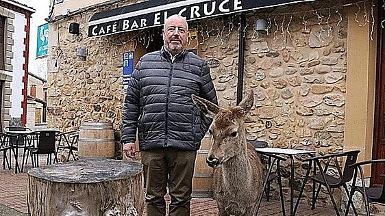 León man reported for keeping a deer that won't leave his side
