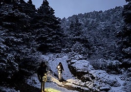 Hikers in Sierra de las Nieves after last weekend's snowfall.