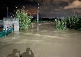 Water level in the Doña Ana neighborhood in Cártama at midnight.