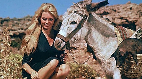 The time when Brigitte Bardot stayed at a Costa del Sol hotel with a donkey called Romeo