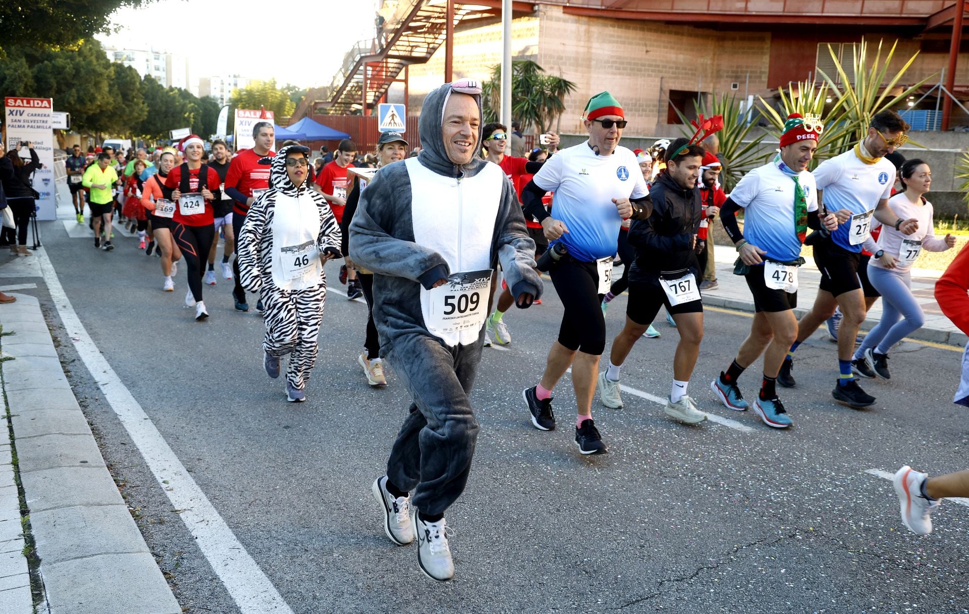 Malaga's charity San Silvestre fun run - in pictures