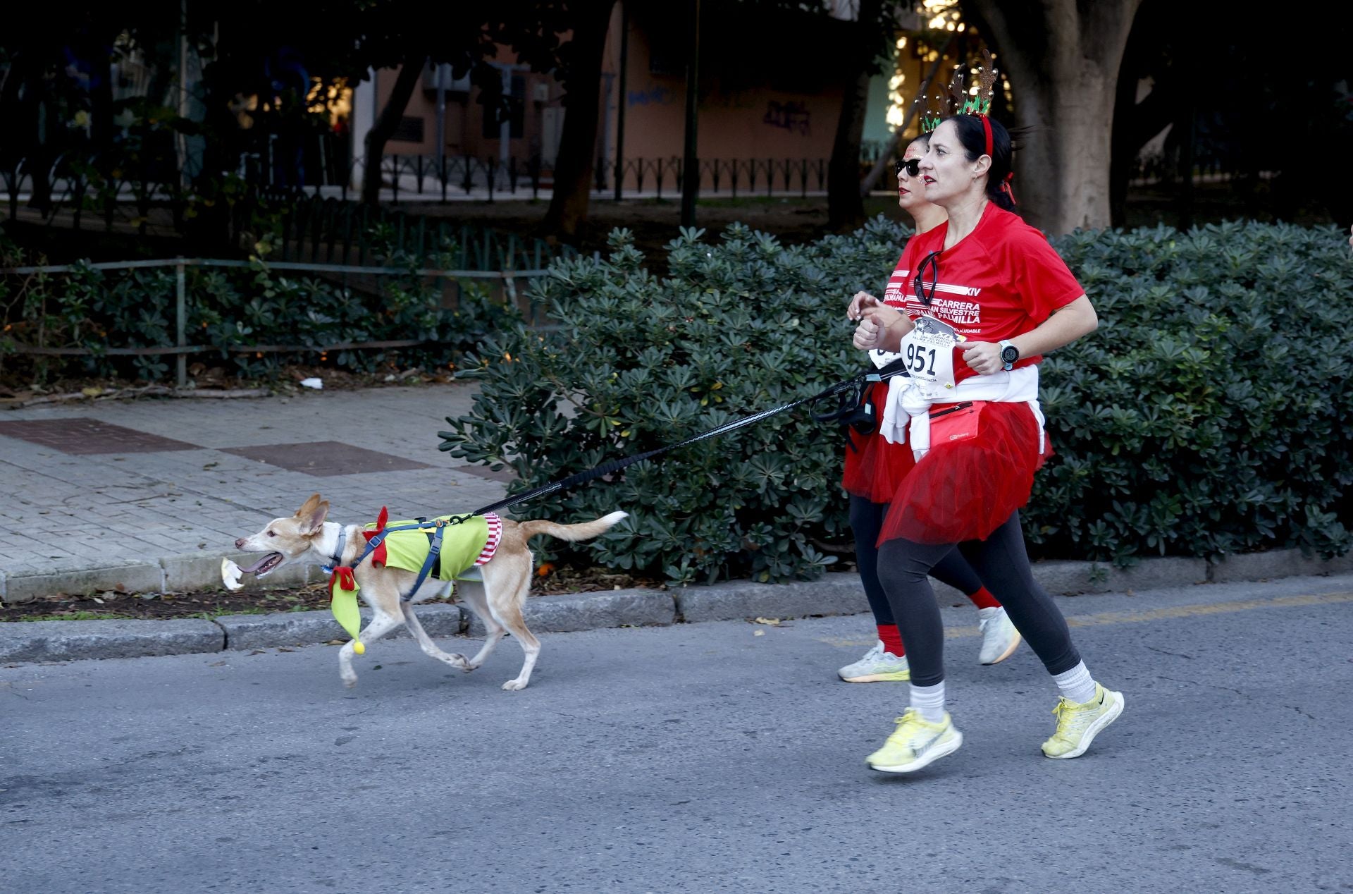 Malaga's charity San Silvestre fun run - in pictures